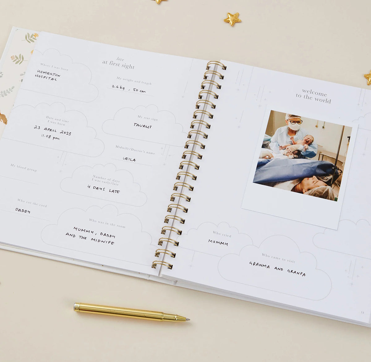 Blush and Gold My Baby Book - Baby Memory Book