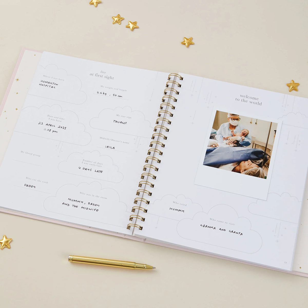 Blush and Gold My Baby Book - Baby Memory Book - Blush (Cloth)