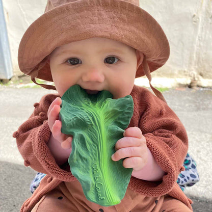 Oli&Carol Kendal The Kale Teether