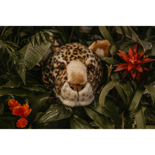 Load image into Gallery viewer, Wild &amp; Soft Leopard Head