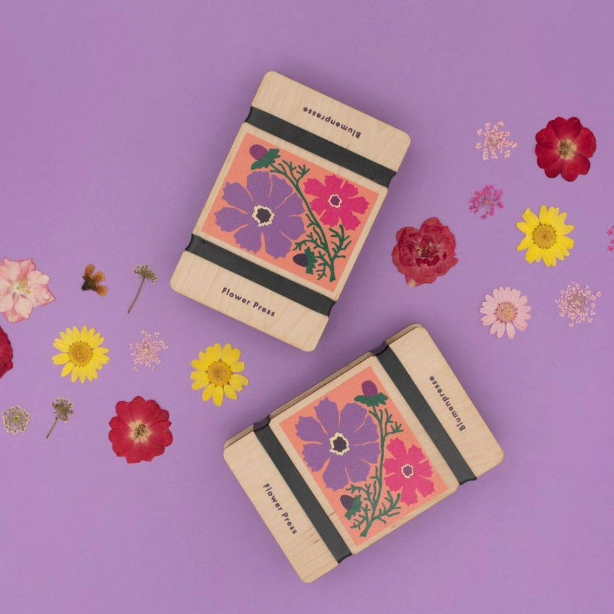 Pocket Flower Press- Cosmos