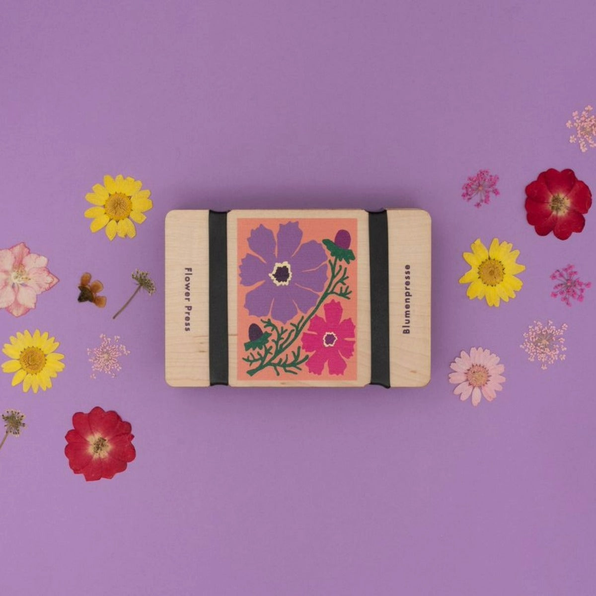 Pocket Flower Press- Cosmos
