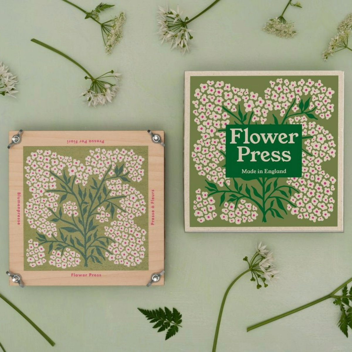 Flower Press- Forget Me Nots