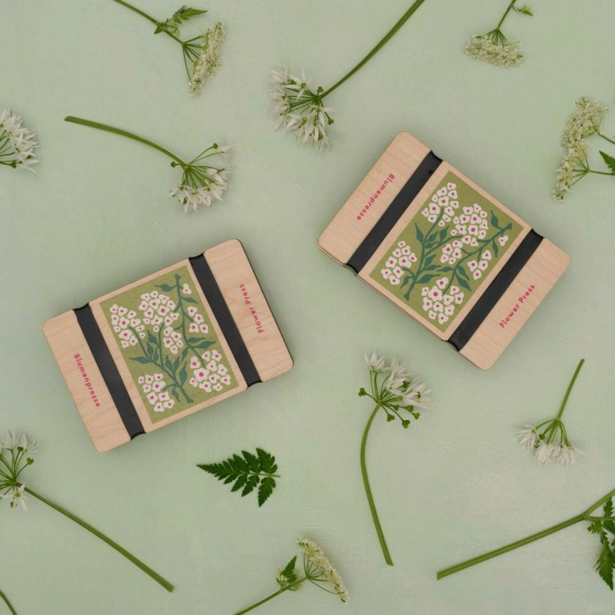 Pocket Flower Press- Forget Me Not
