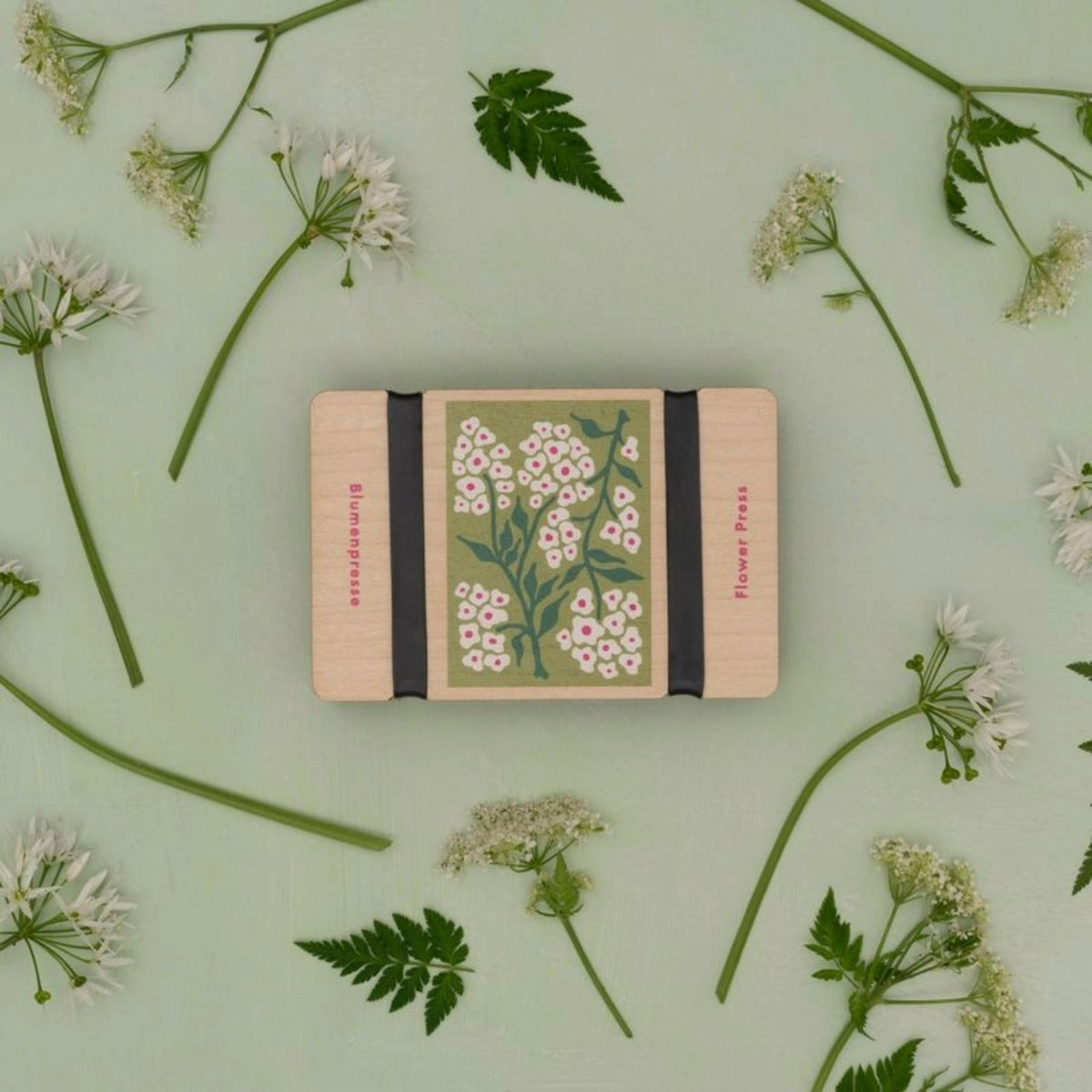 Pocket Flower Press- Forget Me Not