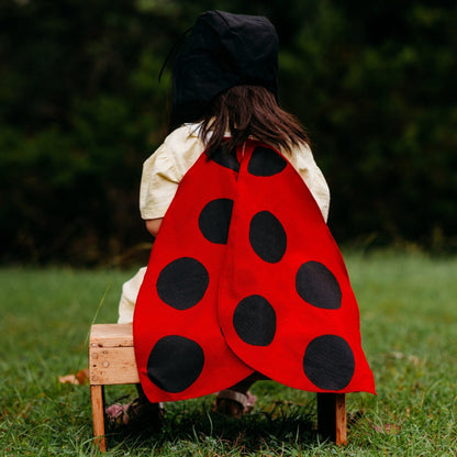 Jack Be Nimble Ladybug Wings