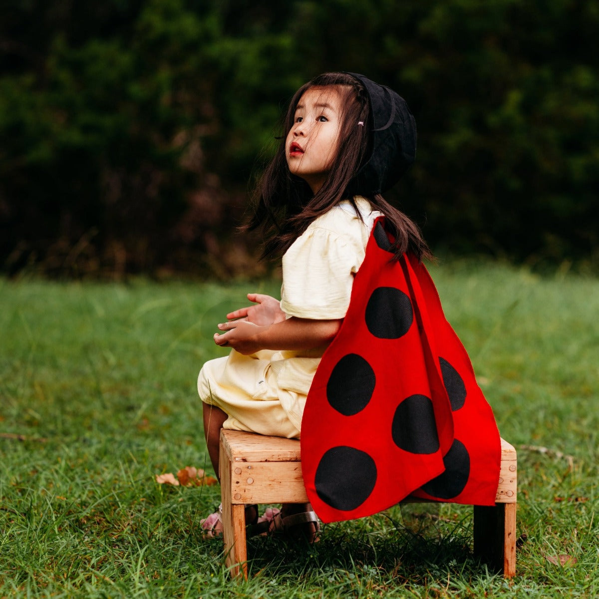 Jack Be Nimble Ladybug Wings