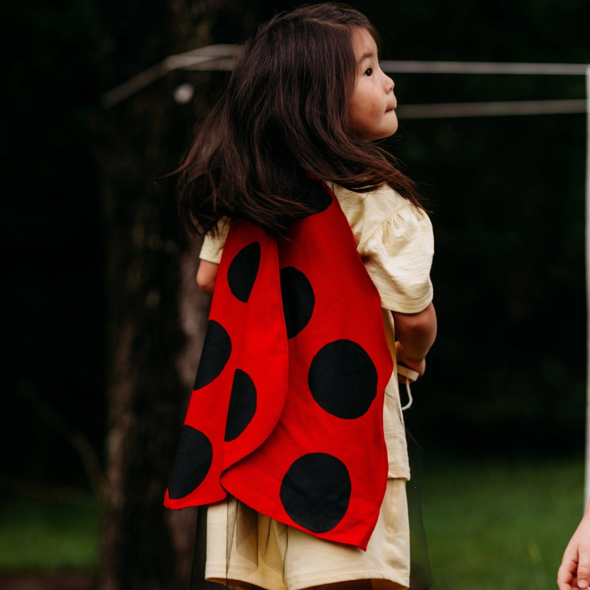 Jack Be Nimble Ladybug Wings
