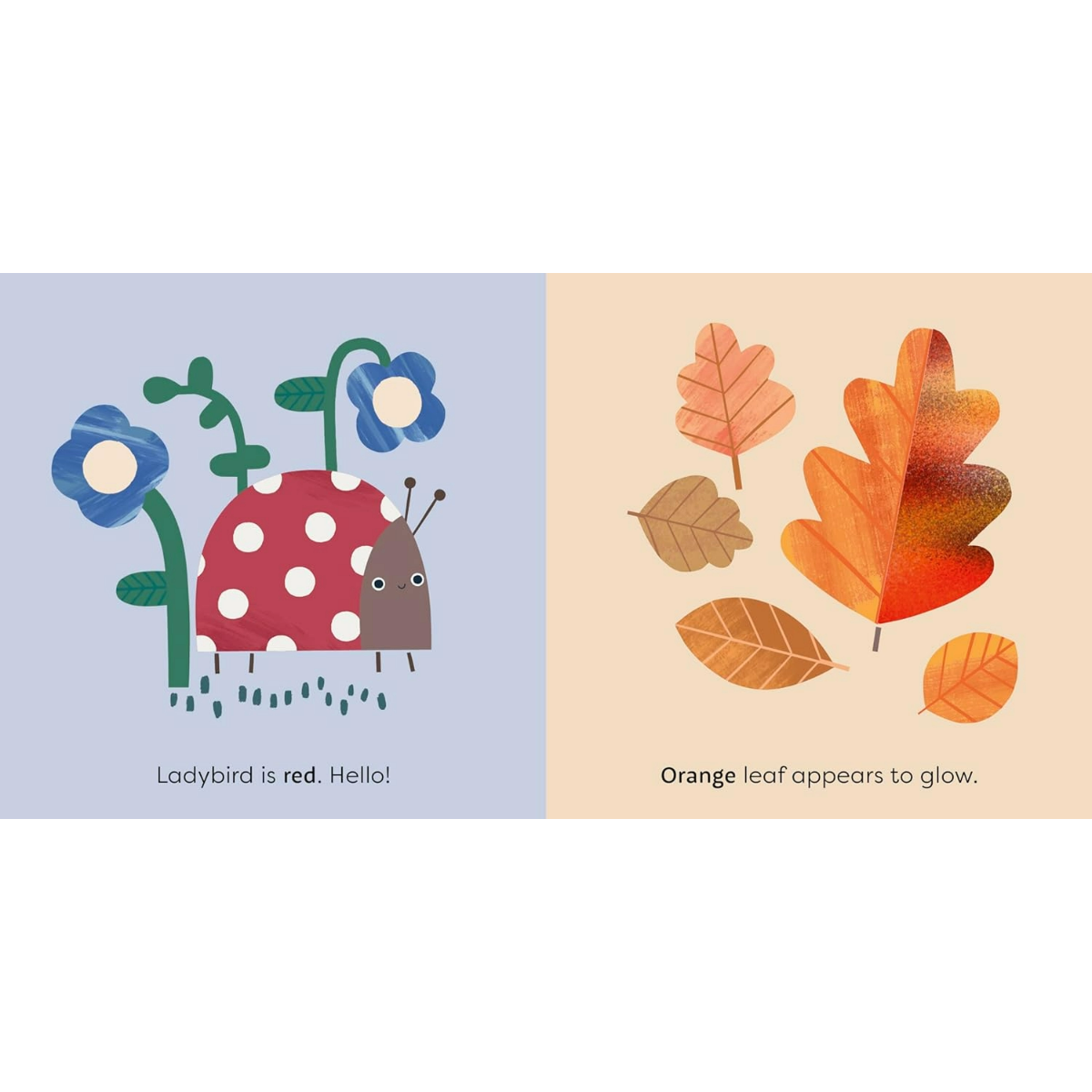 Mini Touch: Touch and Feel Book - Nature