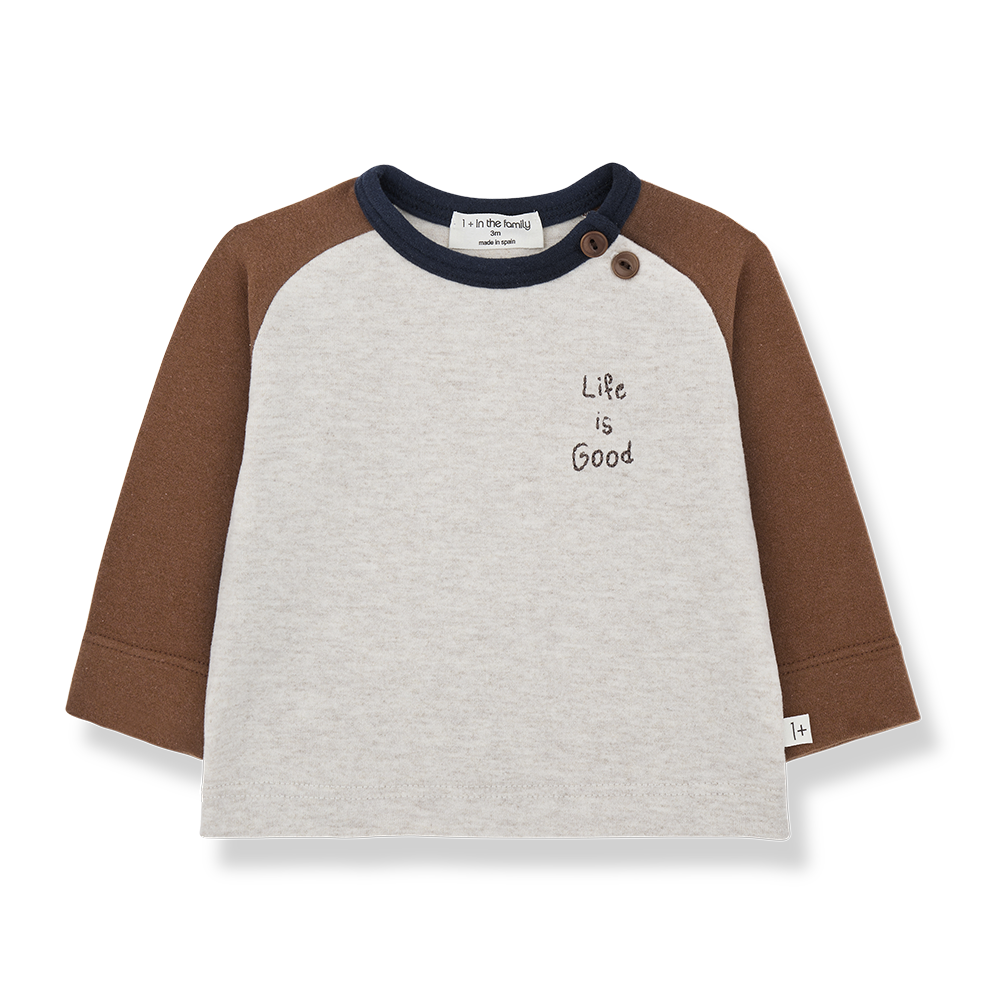 1+ In The Family Paul Raglan T-shirt