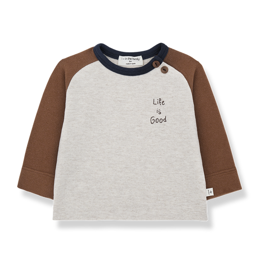 1+ In The Family Paul Raglan T-shirt