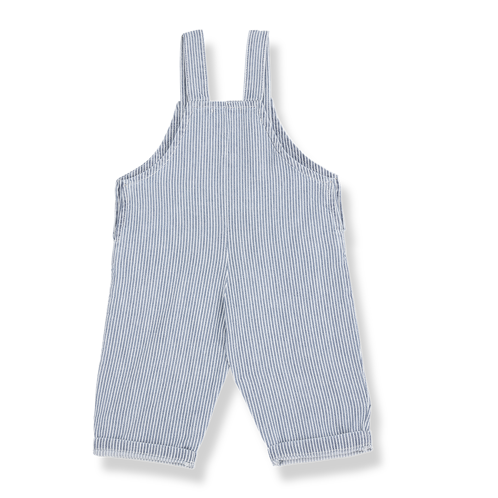 1+ In The Family Mao Dungarees