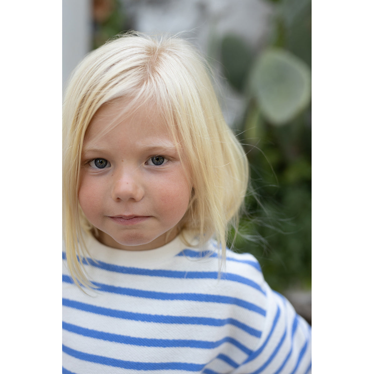 1+ In The Family Marroig Sweater