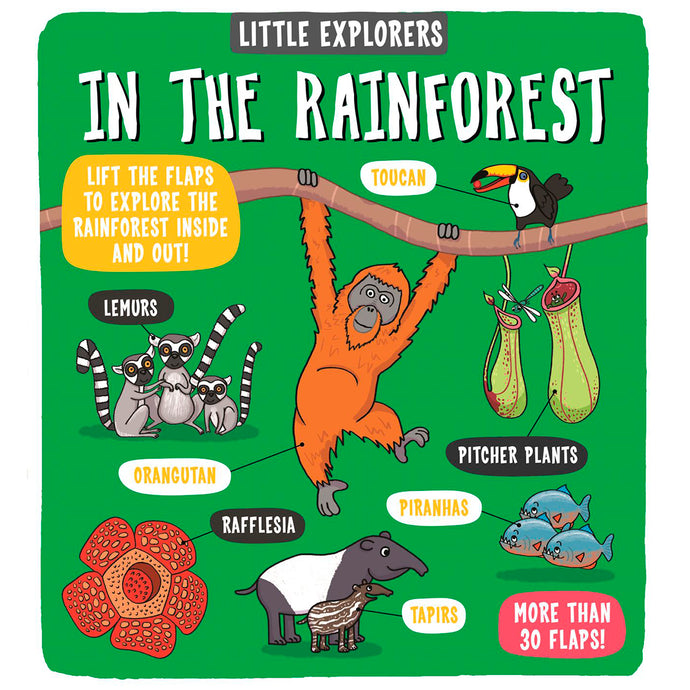 Little Explorers: In The Rainforest