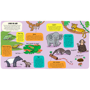 Little Explorers: In The Rainforest book for babies and kids
