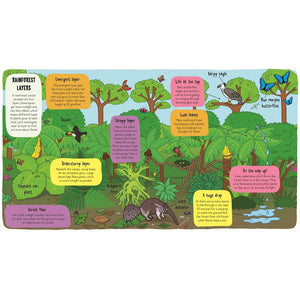 Little Explorers: In The Rainforest book from bookspeed for kids