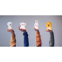 Load image into Gallery viewer, Miffy, Snuffy, Boris, Lion in a Mix Bundle of Light from Mr Maria for kids