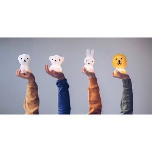 Miffy, Snuffy, Boris, Lion in a Mix Bundle of Light from Mr Maria for kids