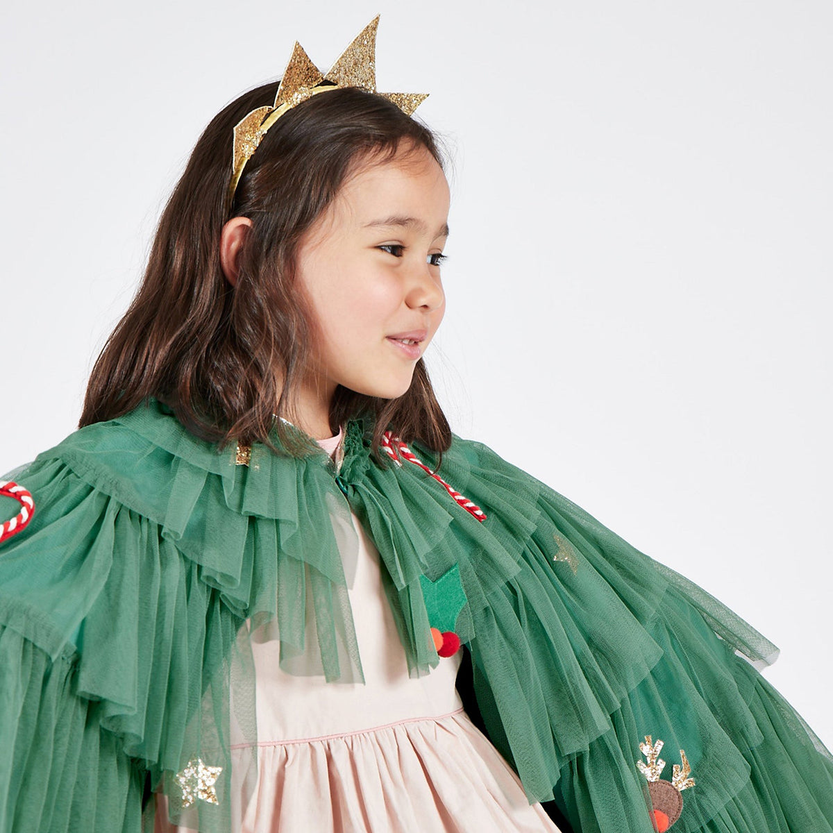 Meri Meri Tree Costume