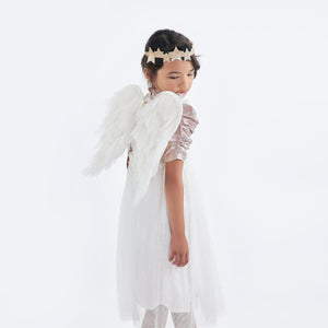 Meri Meri Tulle Angel Wings dressing up costume