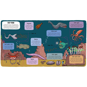 little explorer book under the sea from bookspeed for kids
