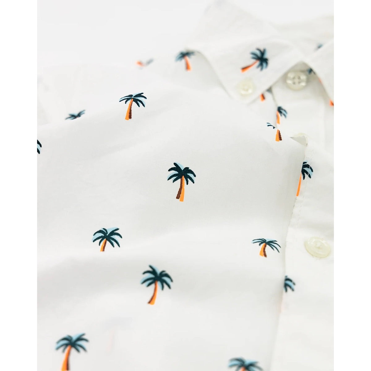 AO76 Axel Palm Shirt for teens