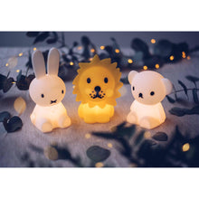 Load image into Gallery viewer, Mr. Maria Miffy Bundle of Light