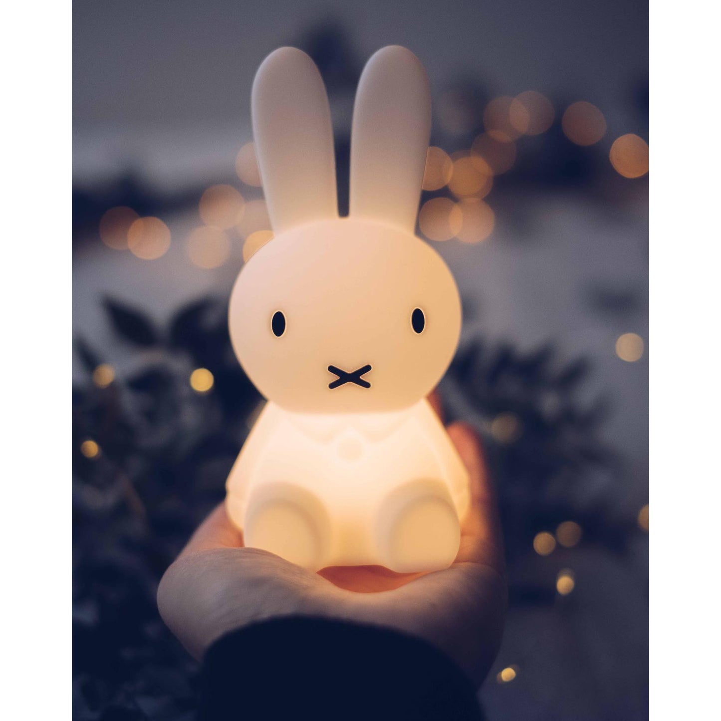Mr. Maria Miffy Bundle of Light