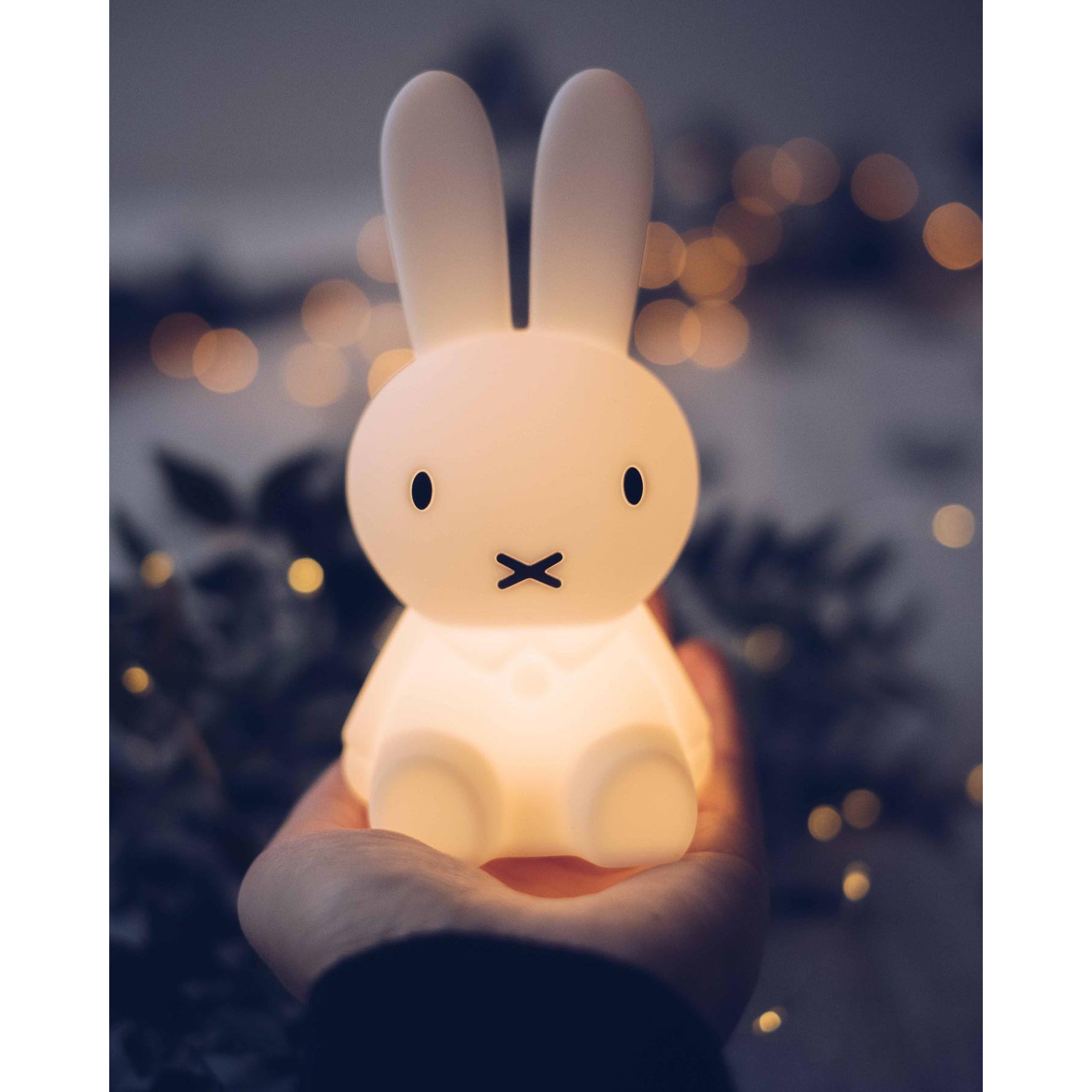 Mr. Maria Miffy Bundle of Light