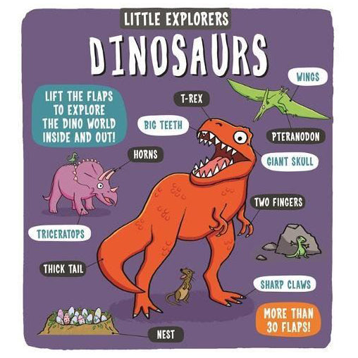 Little Explorers: Dinosaurs Board Book