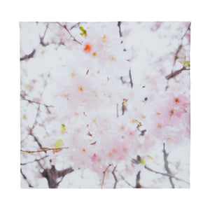 A.T London White Cherry Blossoms Ninja Scarf