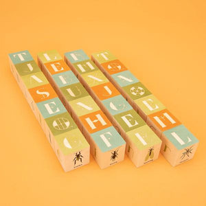 baby blocks with letters from uncle goose