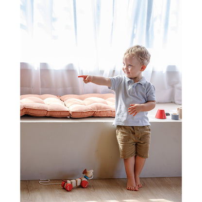 pull along dog from plan toys