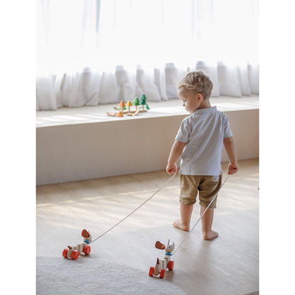 pull along dog from plan toys