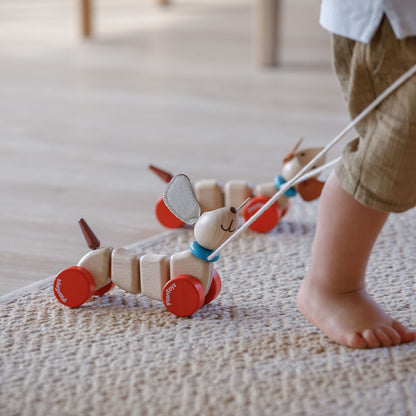 pull along dog from plan toys