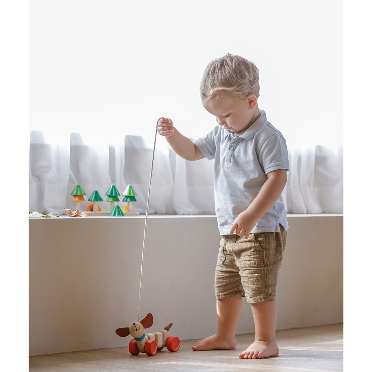 wooden pull along dog from plan toys