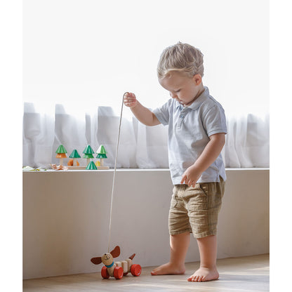 wooden pull along dog from plan toys