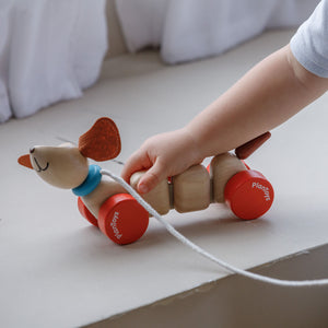 wooden pull along toy from plan toys