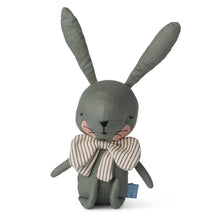 Load image into Gallery viewer, Picca Loulou Rabbit Green with Gift Box