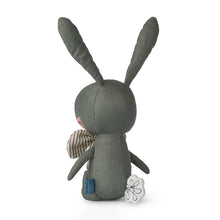 Load image into Gallery viewer, Picca Loulou Rabbit Green In Gift Box for boys/girls