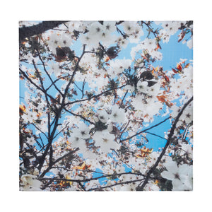 A.T London Blue Cherry Blossom Ninja Scarf