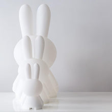 Load image into Gallery viewer, Mr. Maria Miffy XL Lamp