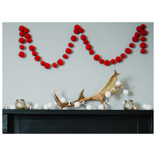 Load image into Gallery viewer, PomPom Galore Garland