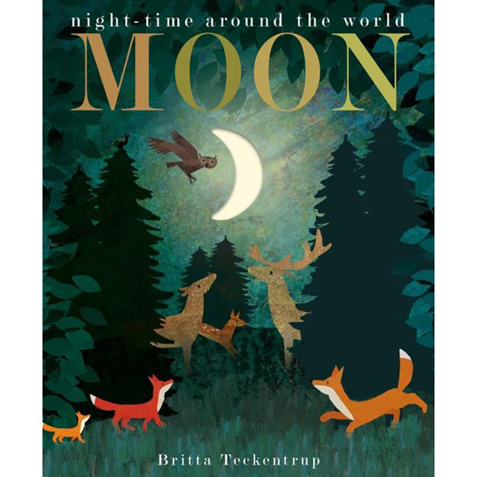 Moon: Night Time Around The World Board Book
