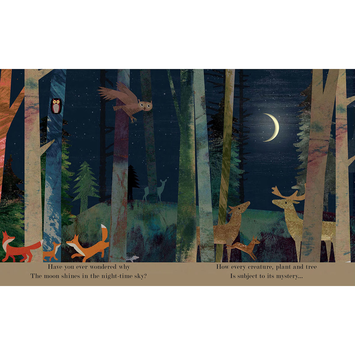 Moon: Night Time Around The World Board Book
