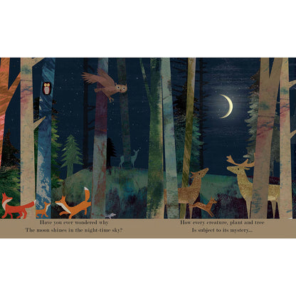 Moon: Night Time Around The World Board Book