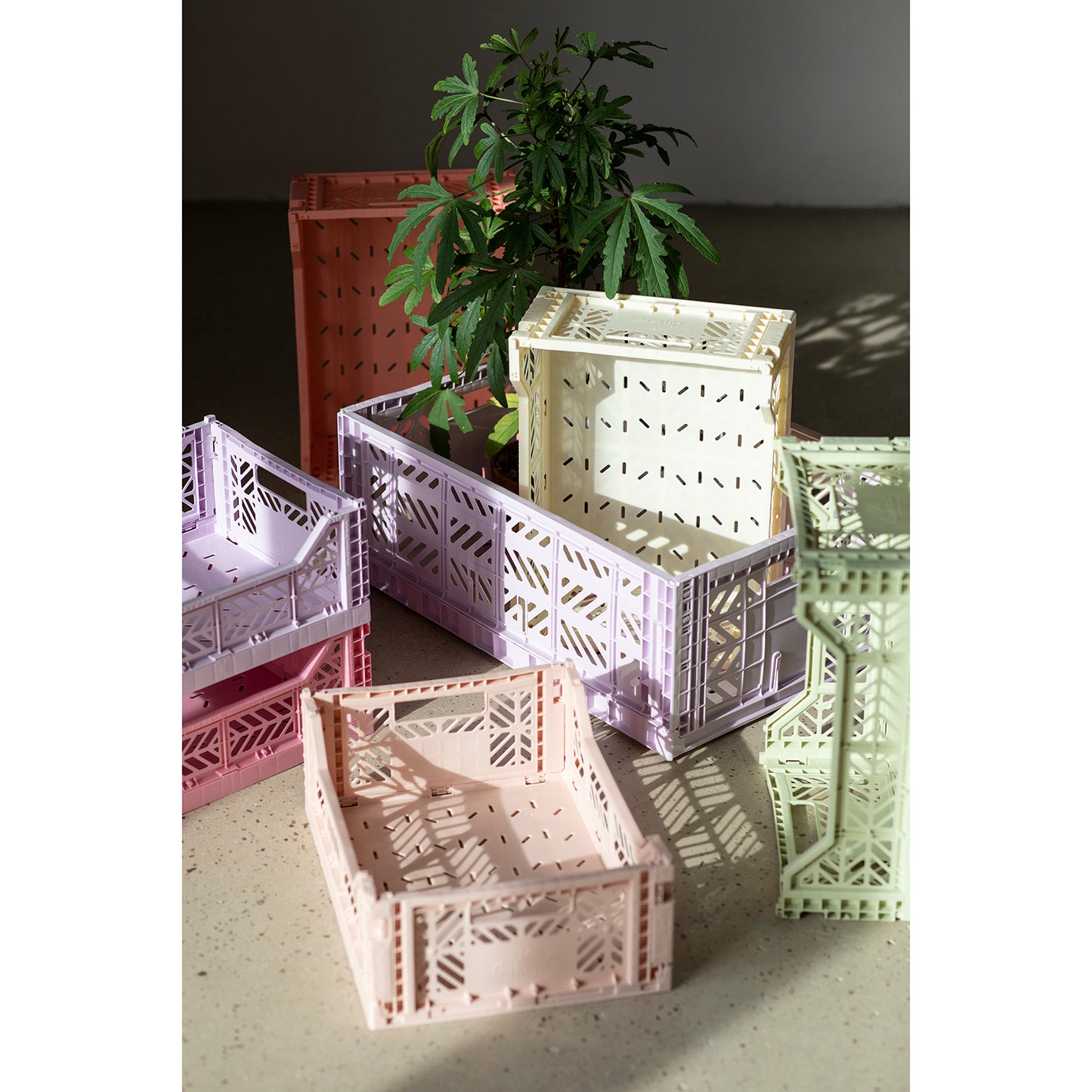 Aykasa Midi Folding Crate mint tea