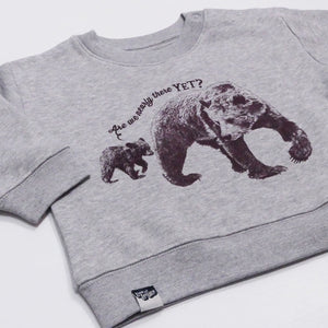 Lion Of Leisure Bears Sweatshirt for kids/children