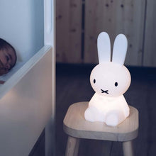 Load image into Gallery viewer, Miffy First Light